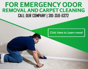 Stain Removal Service - Carpet Cleaning Manhattan Beach, CA