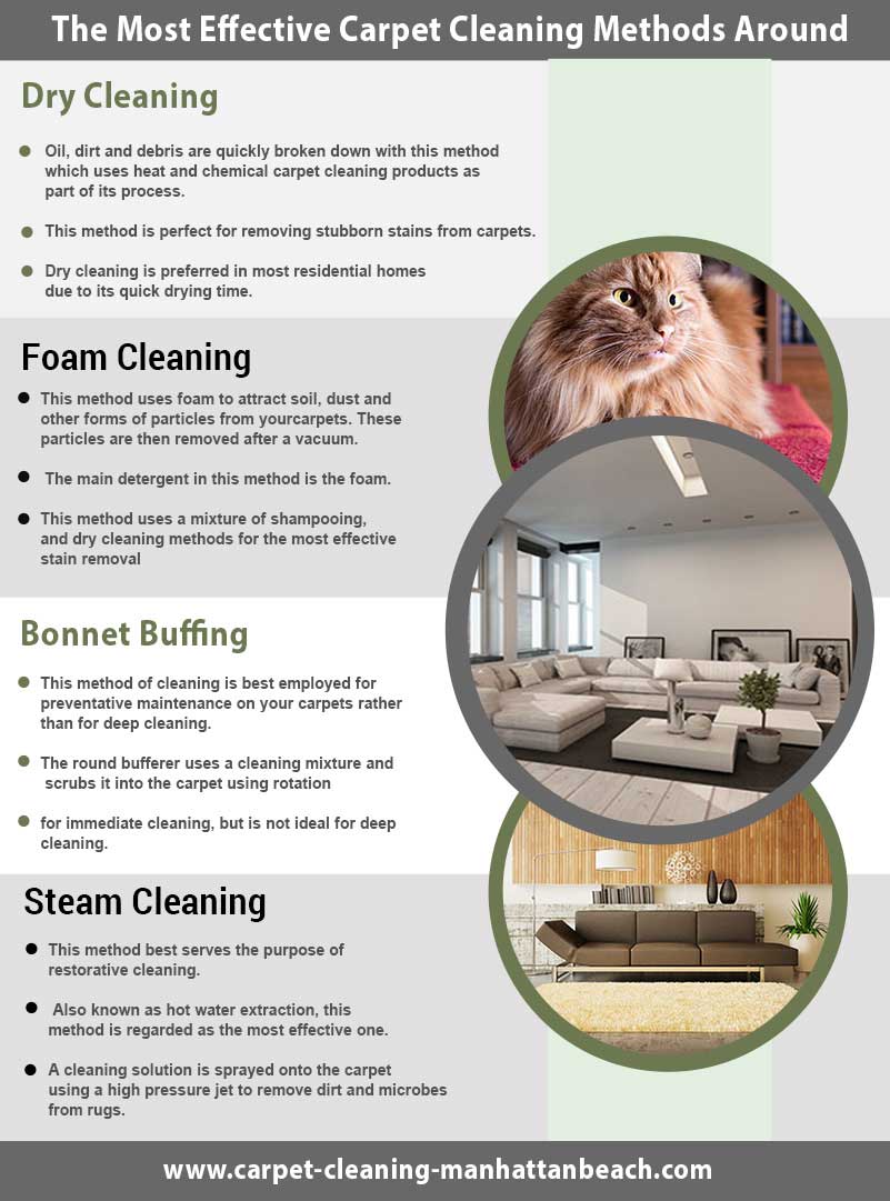 Carpet Cleaning Manhattan Beach Infographic